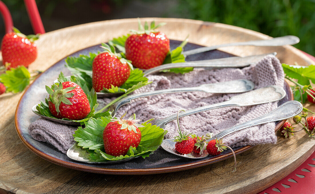 Frische Erdbeeren auf Löffeln als Tischdekoration