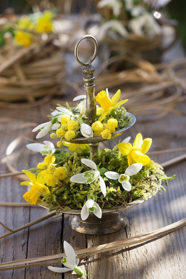 Mini daffodils, snowdrops and mimosa on a small etagere