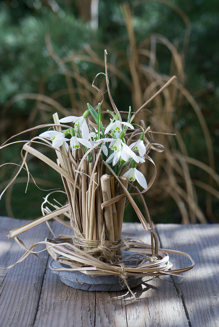 Snowdrops and blades of grass on a saucer