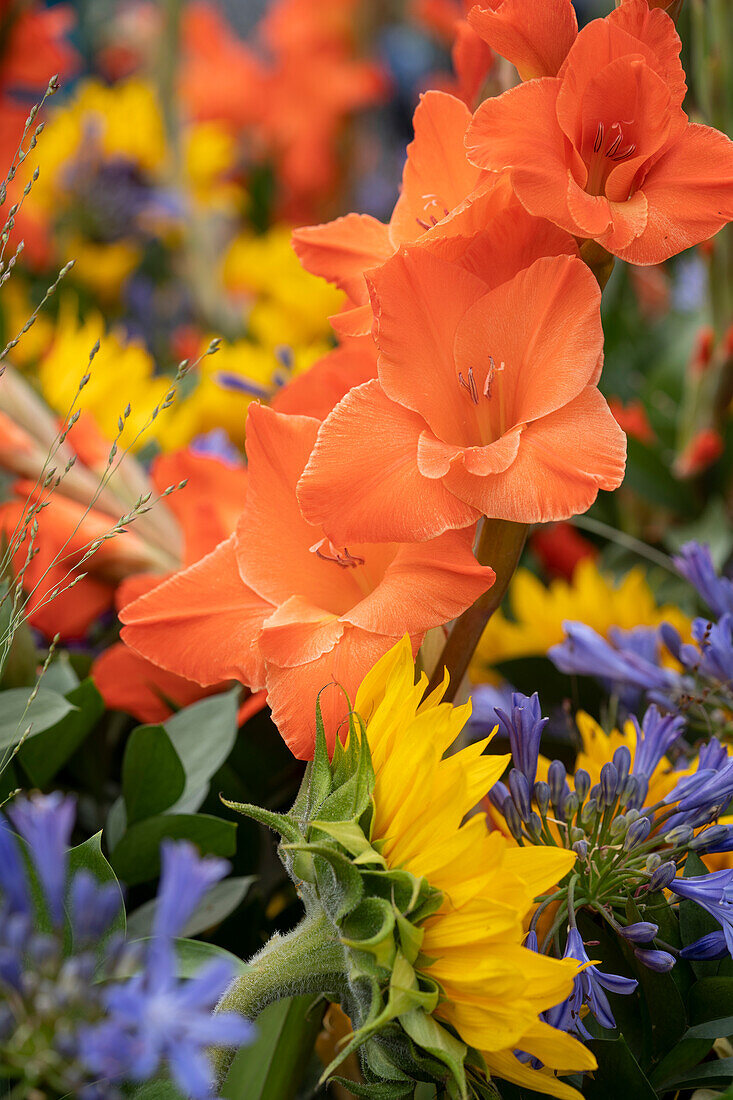 Sommerblumenstrauß mit Gladiolen, Sonnenblumen und Schmucklilien