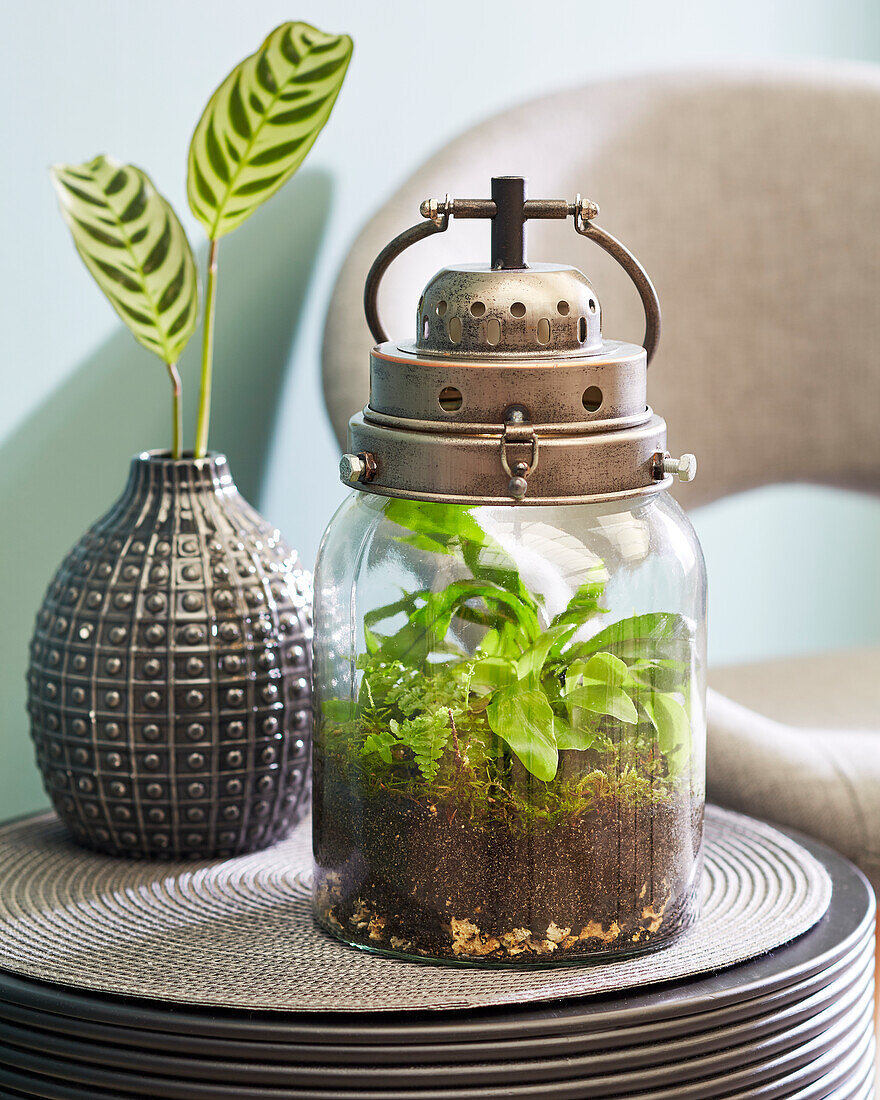 Decorative lantern with ferns