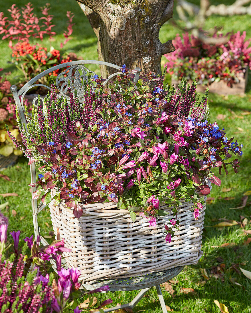 Autumn container