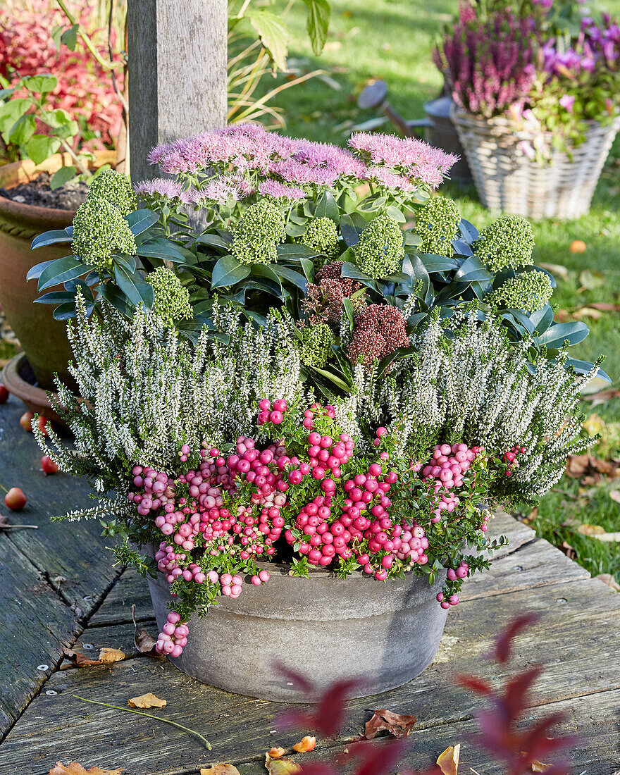 Autumn container