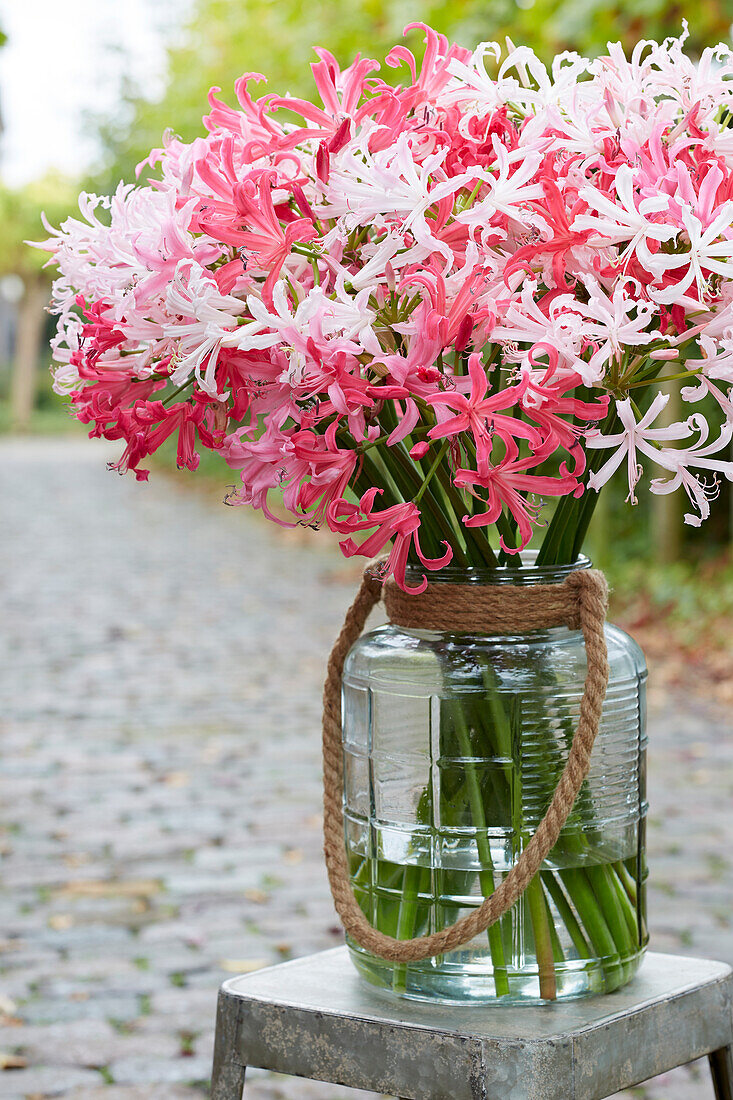 Nerine bouquet