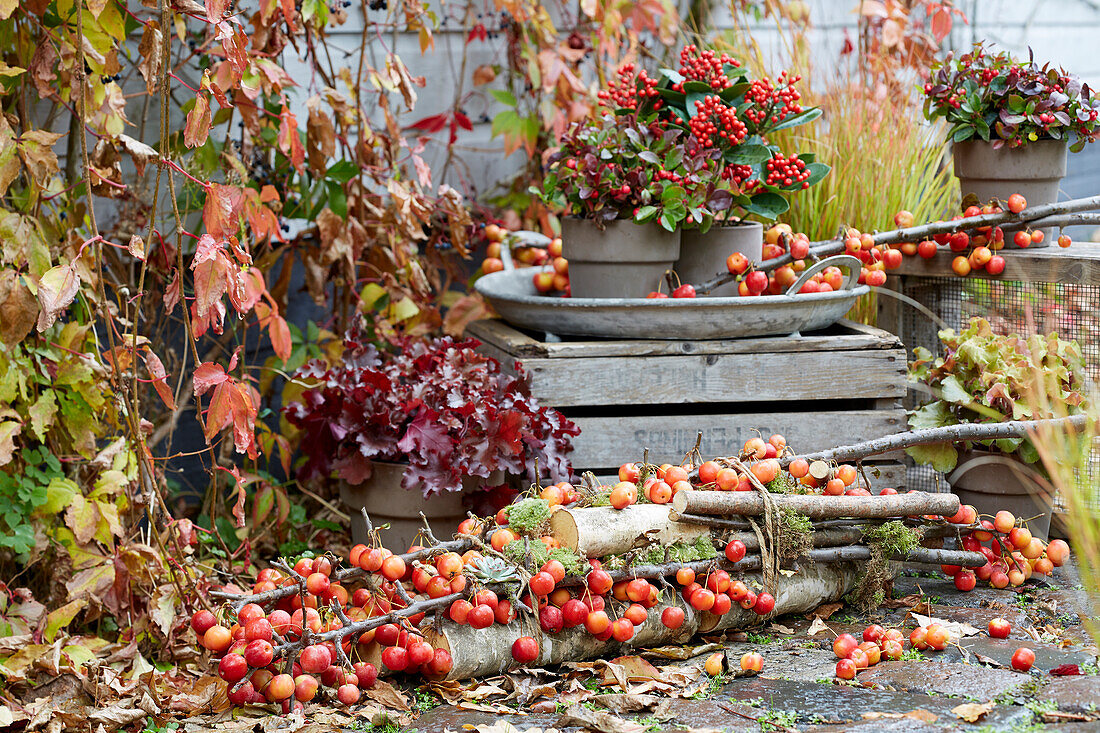 Autumn ambiance