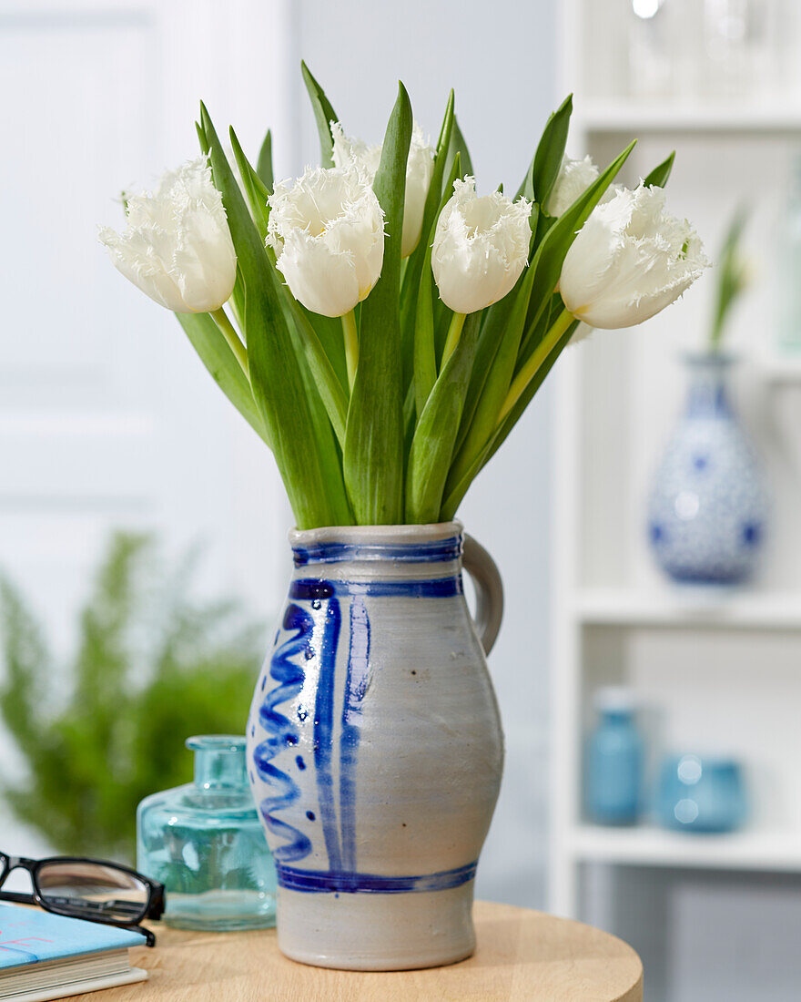 Tulpe (Tulipa) 'Cambridge' in Vase