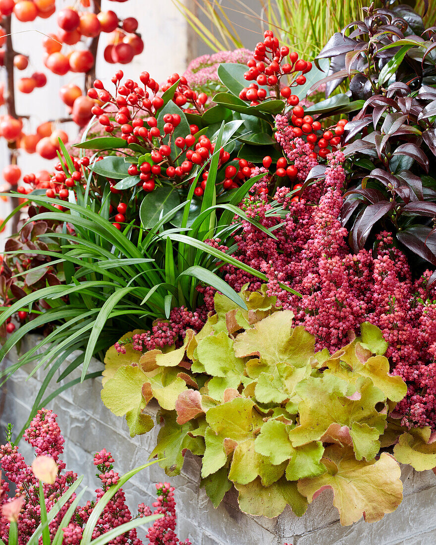 Autumn containers