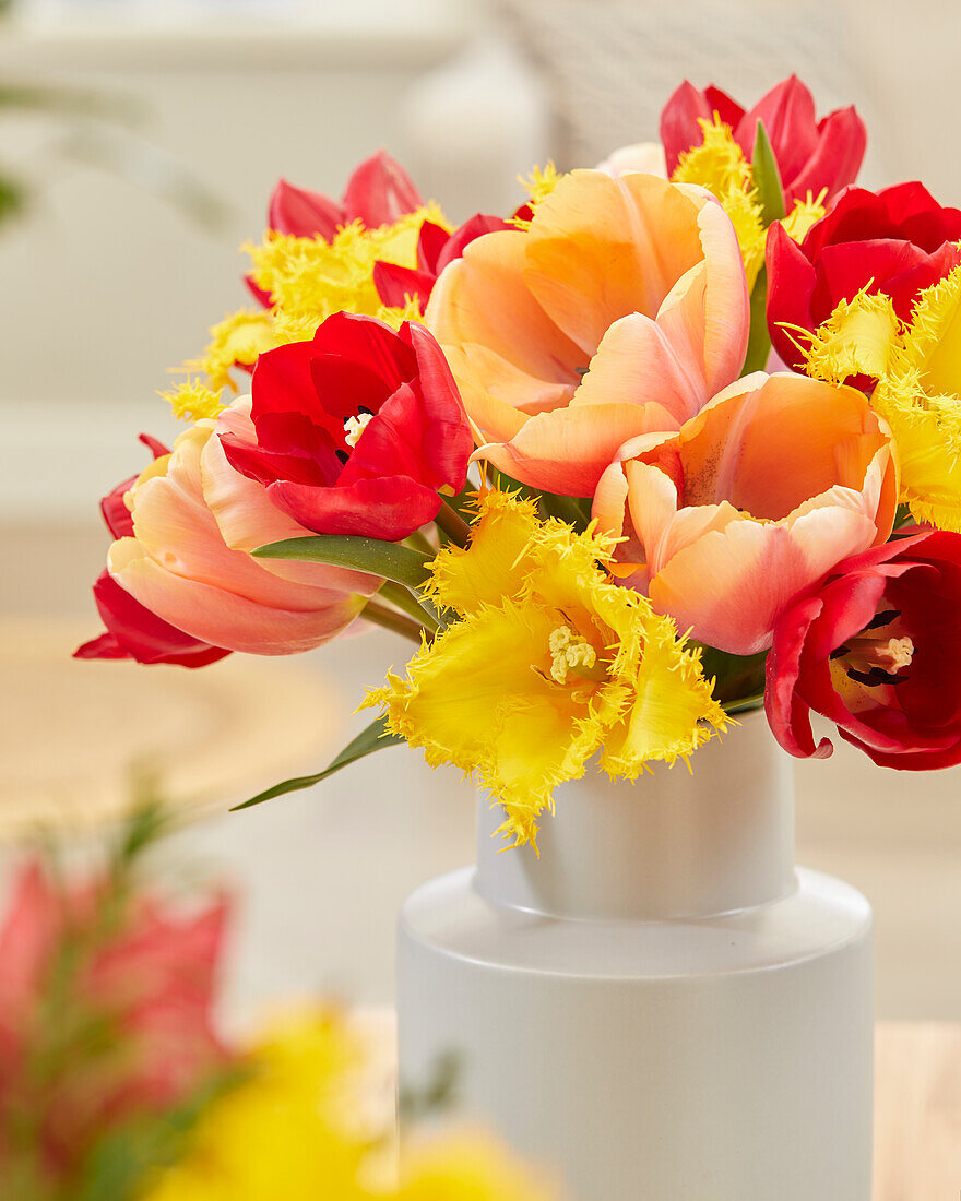 Tulip mix on vase