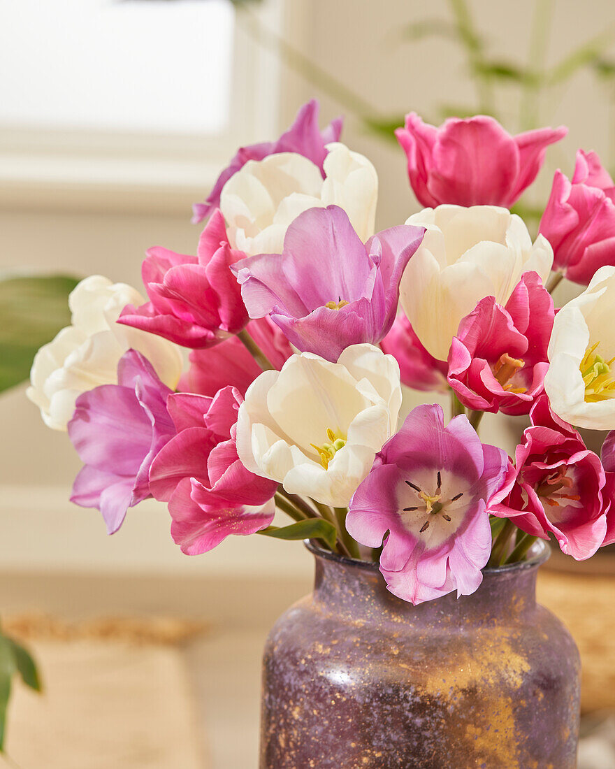 Tulip mix on vase