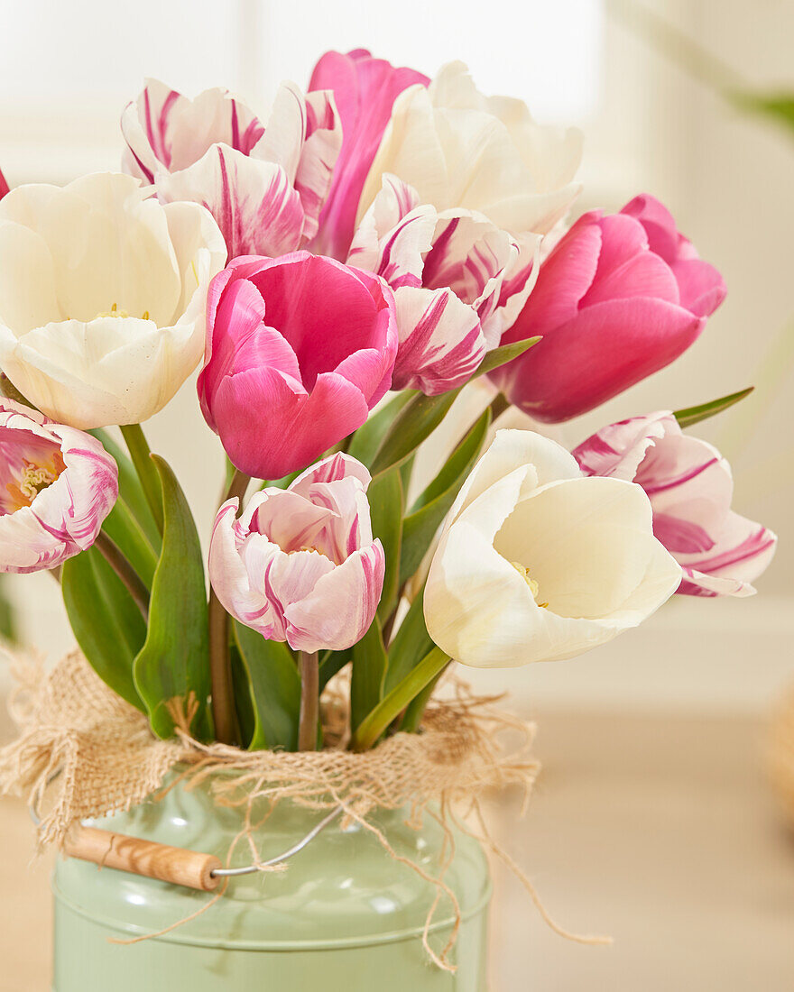 Tulip mix on vase