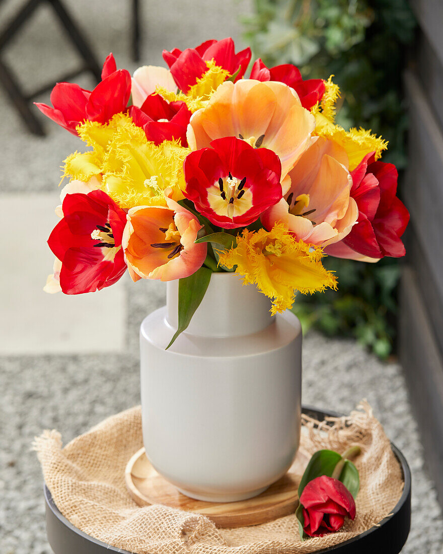 Tulip mix on vase