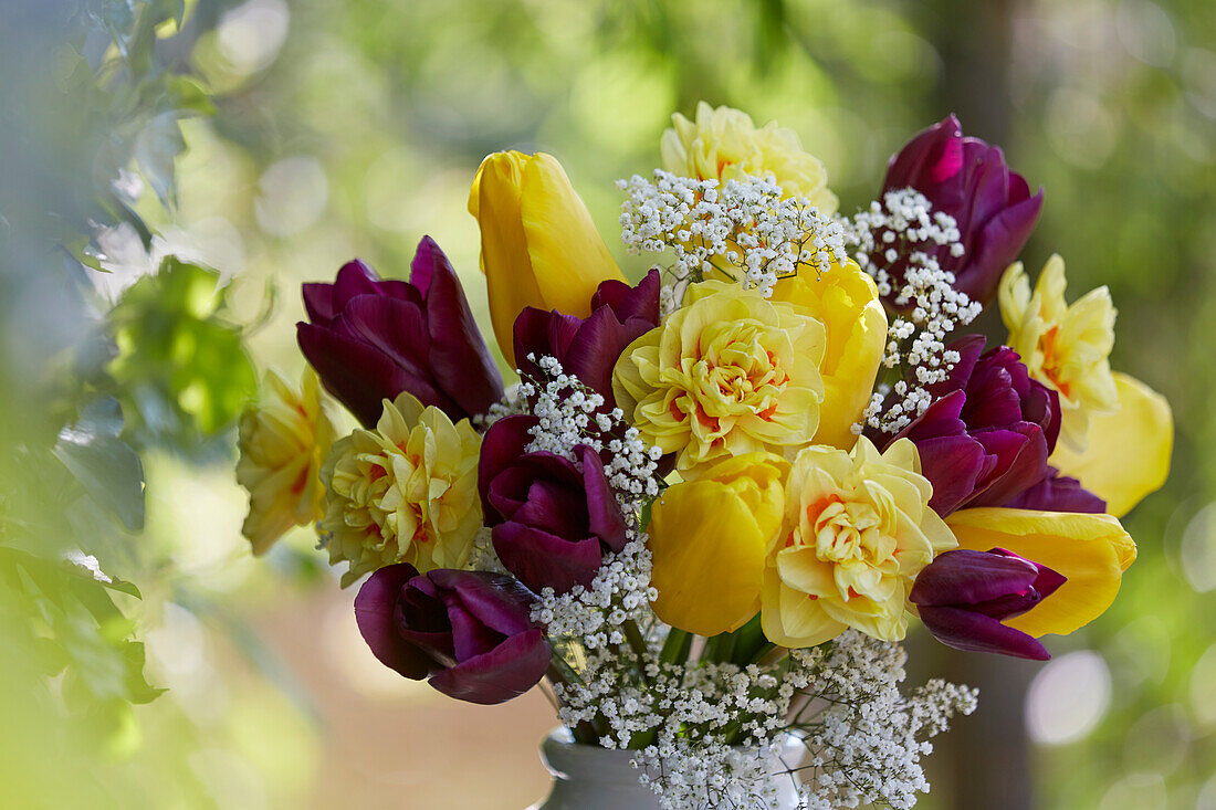 Tulip mix on vase