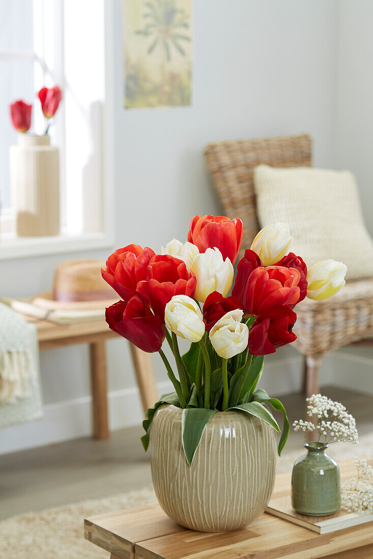 Tulip mix on vase