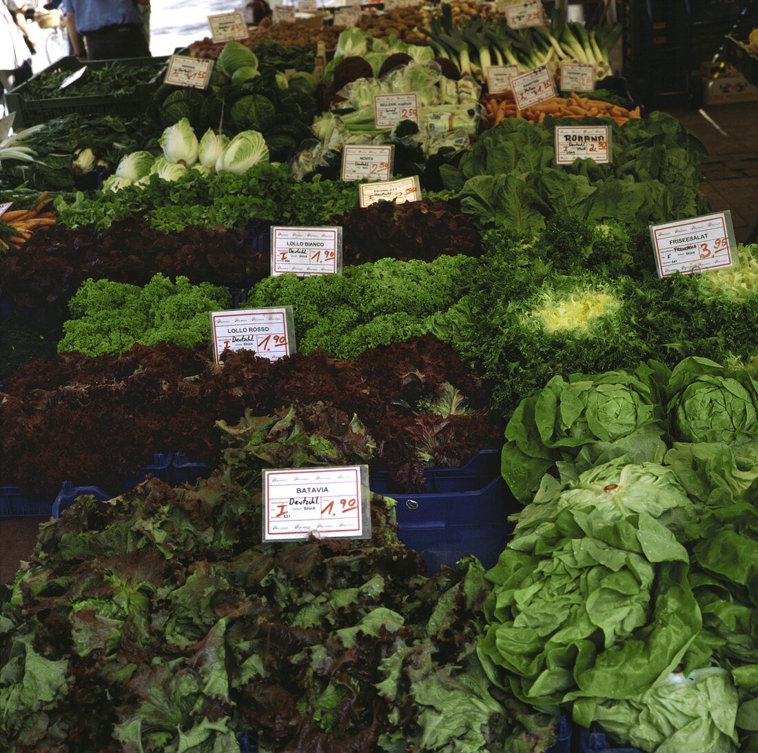 Many different lettuces on a market stall