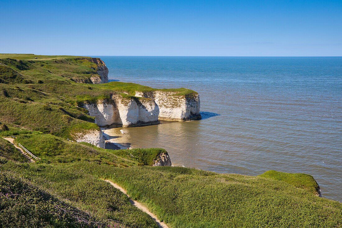 Flamborough Head, Yorkshire, England, United Kingdom, Europe