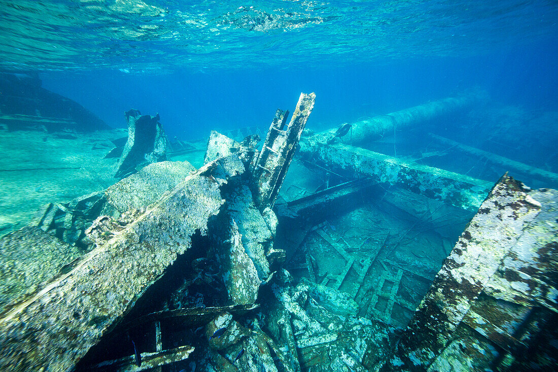 Überreste des Schiffswracks der Kinsei Maru an der Nordostseite der Silver Bank, Dominikanische Republik, Große Antillen, Karibik, Mittelamerika