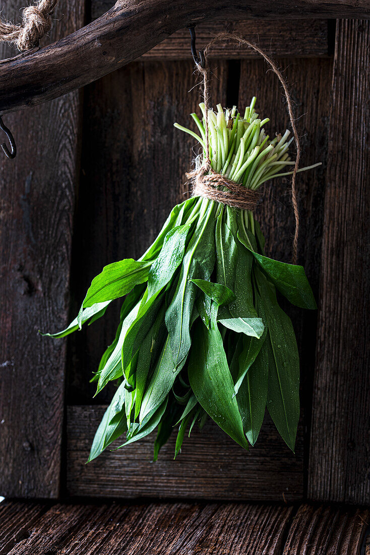 A bunch of ramsons (wild garlic)