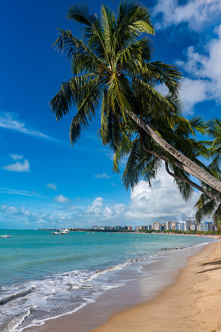 Palmengesäumter Strand, Maceio, Alagoas, Brasilien, Südamerika