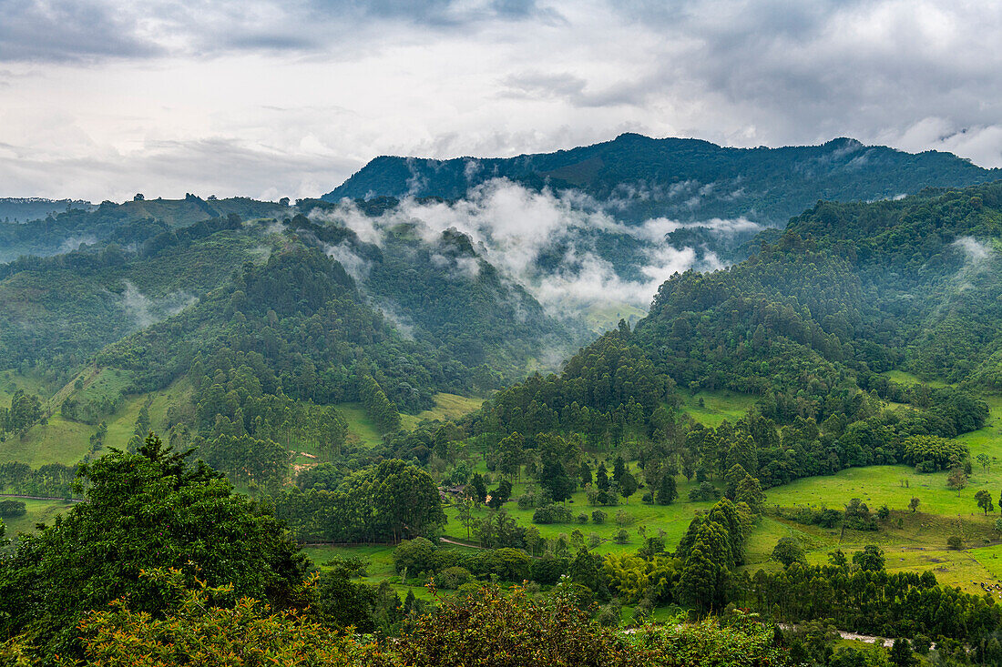 Blick über das Valle de Cocora, UNESCO-Welterbe, Kaffee-Kulturlandschaft, Salento, Kolumbien, Südamerika