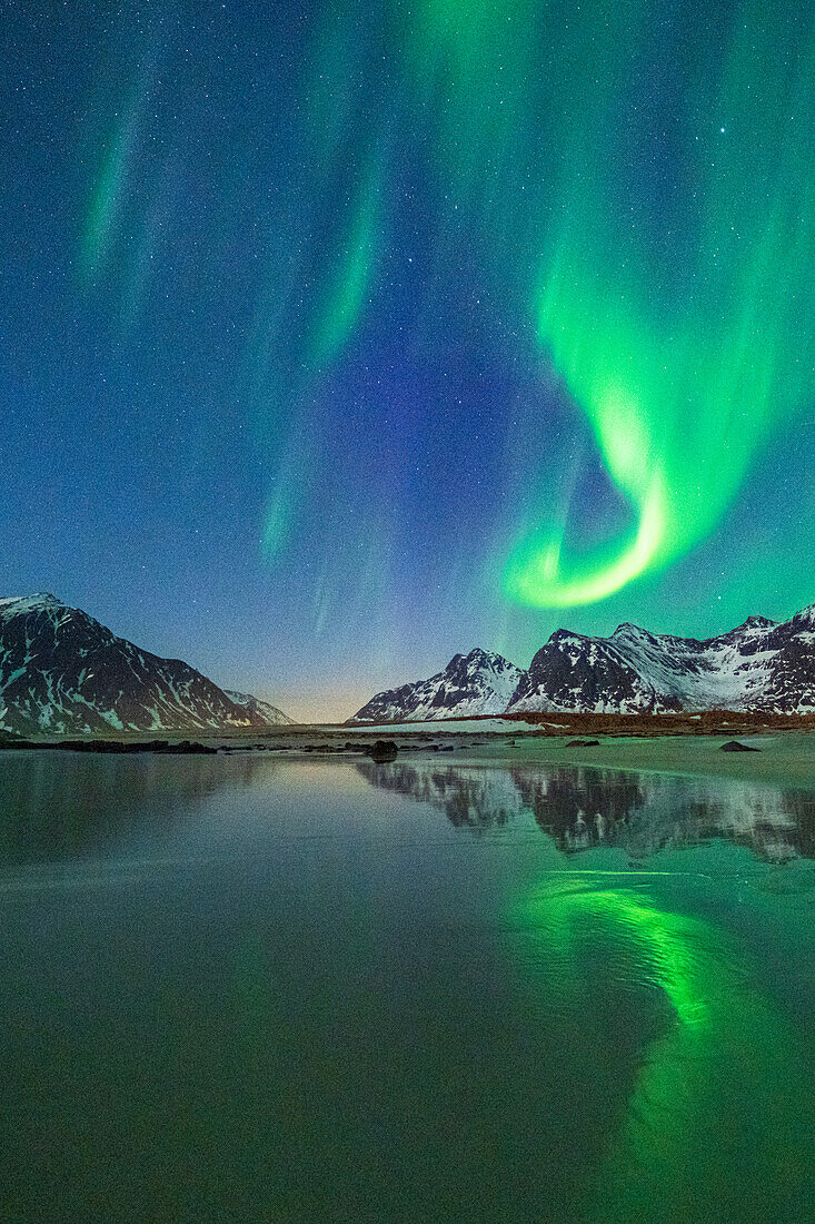 Grüne Lichter der Aurora Borealis (Nordlicht) spiegeln sich im kalten Meer, Skagsanden Strand, Flakstad, Lofoten Inseln, Norwegen, Skandinavien, Europa