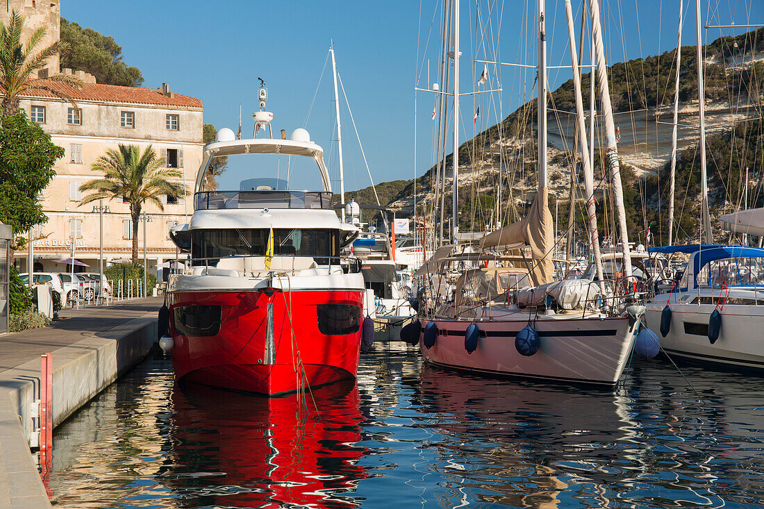 Blick über den Hafen vom Kai aus, frühmorgens, bunte Boote am Steg, Bonifacio, Corse-du-Sud, Korsika, Frankreich, Mittelmeer, Europa