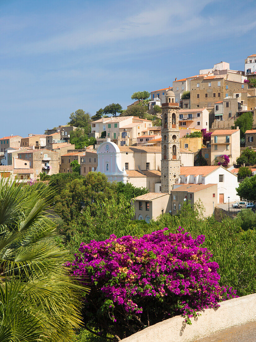 Village houses perched on hillside, the Church of Ste-Marie prominent, Lumio, Calvi Balagne, Haute-Corse, Corsica, France, Mediterranean, Europe