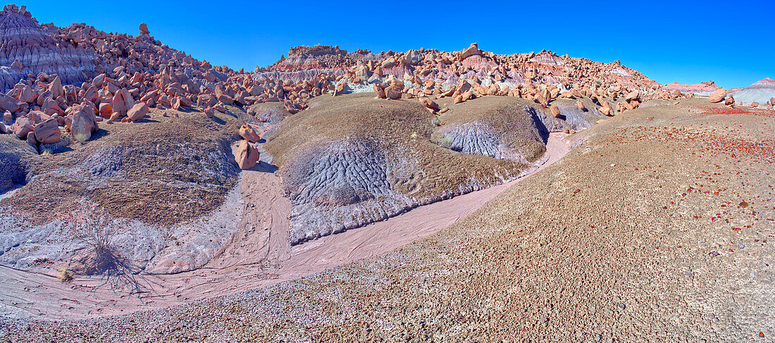 Feld von Felsblöcken im Devil's Playground im Petrified Forest National Park, Arizona, Vereinigte Staaten von Amerika, Nordamerika