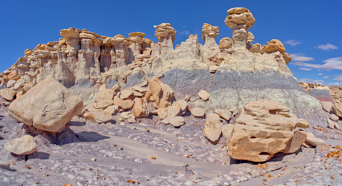 A ridge of hoodoos that resemble dog heads in Devil's Playground at Petrified Forest National Park, Arizona, United States of America, North America