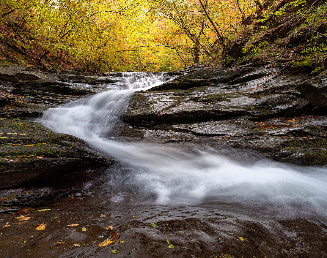 Herbstfarben in einem Buchenwald mit einem zwischen Felsen fließenden Wasserfall, Langzeitbelichtung, Emilia Romagna, Italien