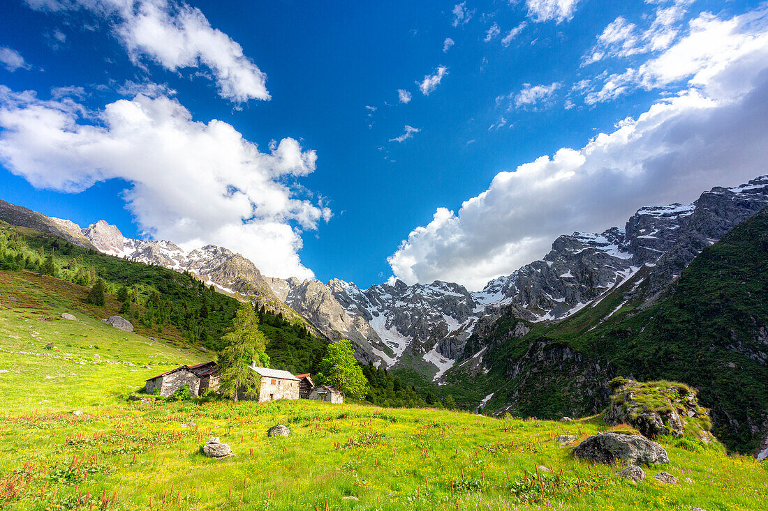 Lonely traditional group of huts in a wild alpine valley, Val d'Arigna, Orobie, Valtellina, Lombardy, Italy, Europe