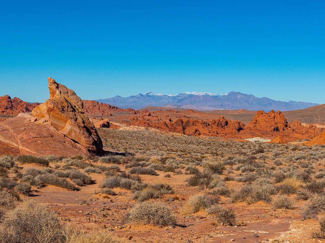 Valley of Fire State Park, Nevada, United States of America, North America