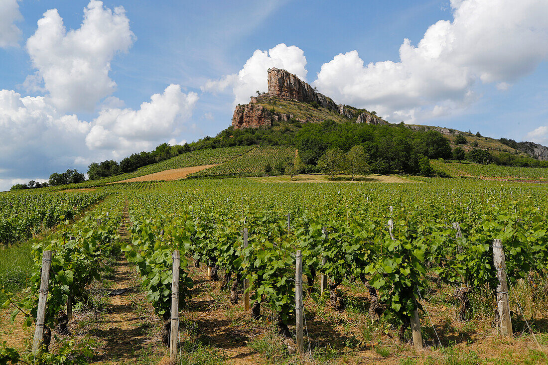 Solutre Felsen und Weinberge in Saone et Loire, Burgund, Frankreich, Europa