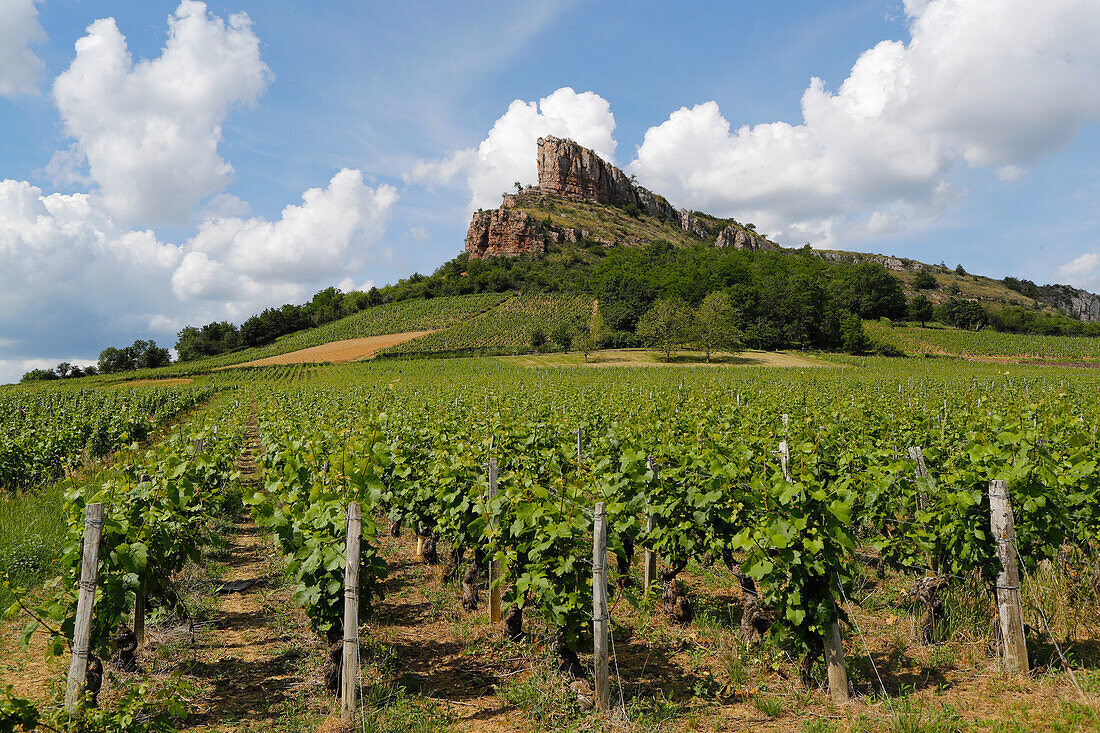 Solutre Rock and vineyards in Saone et Loire, Burgundy, France, Europe