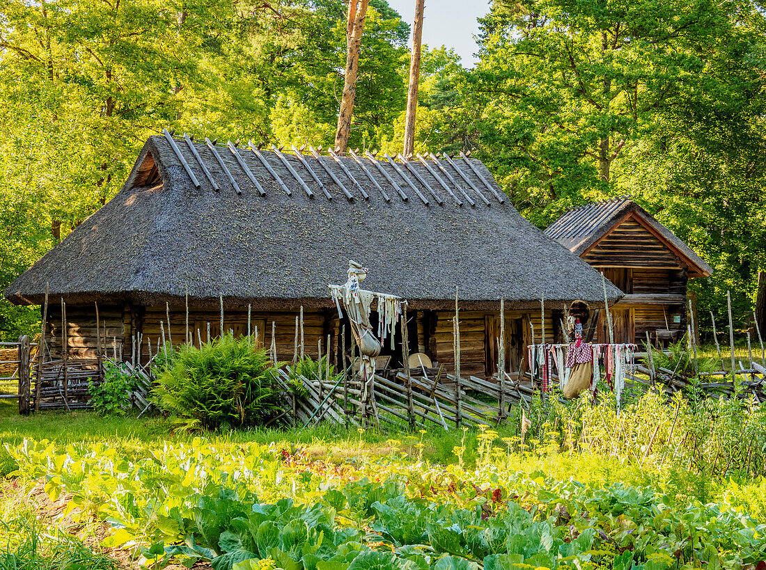 Traditional House, Estonian Open Air Museum, Rocca al Mare, Tallinn, Estonia, Europe