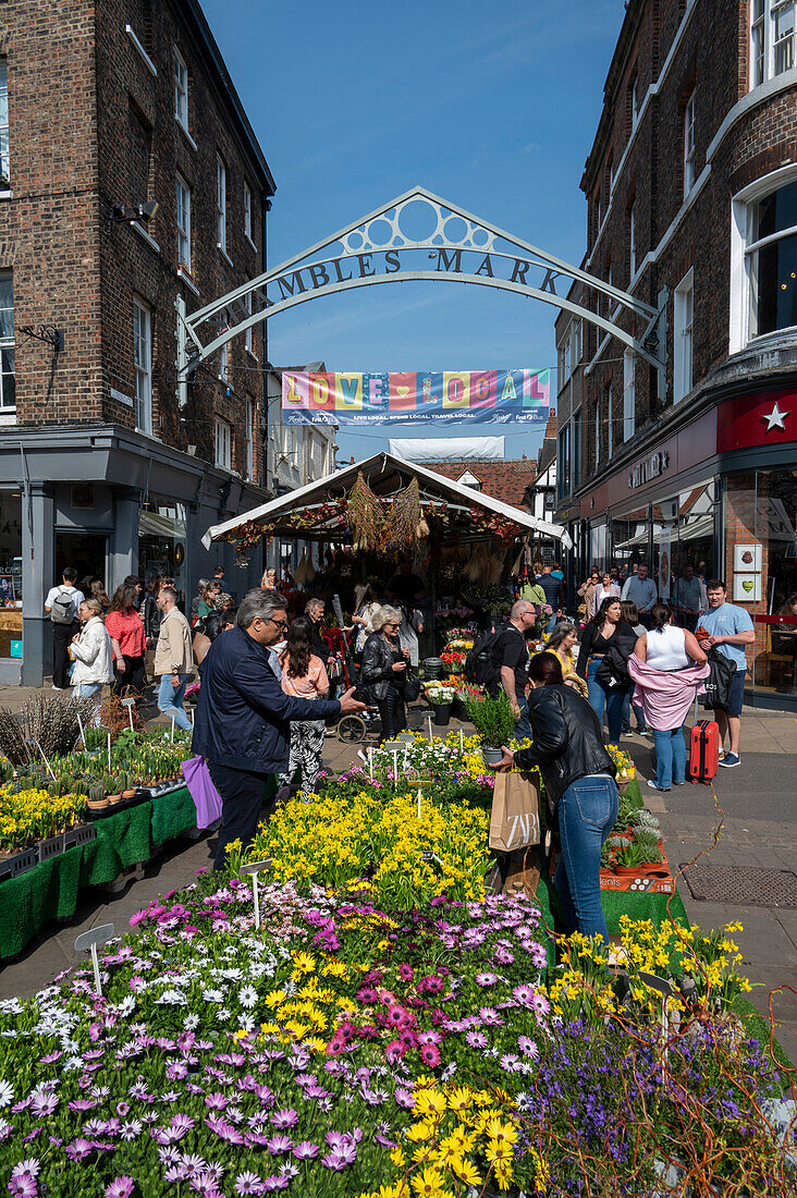 Flowers at the entrance to Shambles Market, York, North Yorkshire, England, United Kingdom, Europe