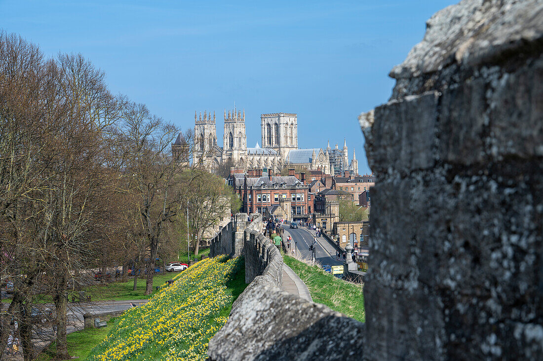 York Minster, Lendal Bridge mit Stadtmauern im Frühling, York, North Yorkshire, England, Vereinigtes Königreich, Europa