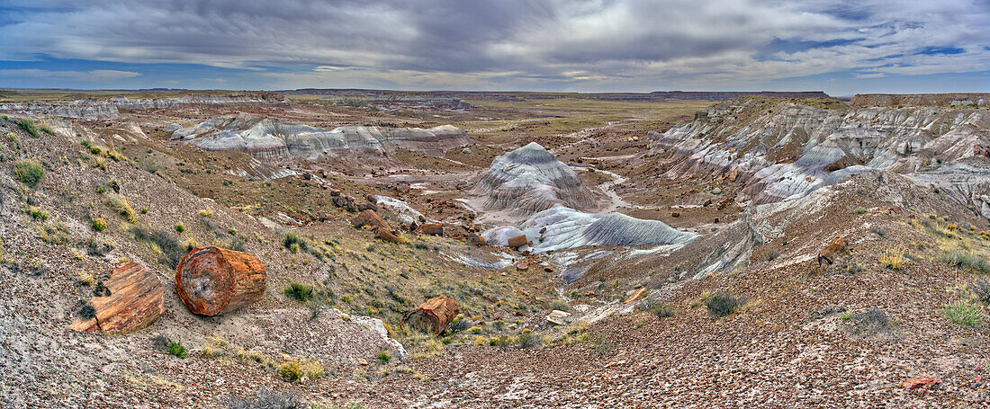View of Jasper Forest from the southern side of Agate Plateau, Petrified Forest National Park, Arizona, United States of America, North America