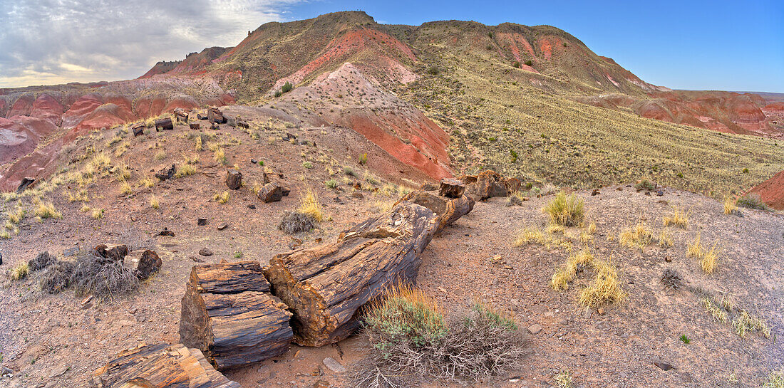 Blick von unterhalb des Chinde Point im Petrified Forest National Park, Arizona, Vereinigte Staaten von Amerika, Nordamerika