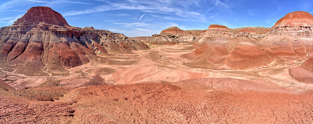 Die Talsohle des Red Forest im Petrified Forest National Park, Arizona, Vereinigte Staaten von Amerika, Nordamerika