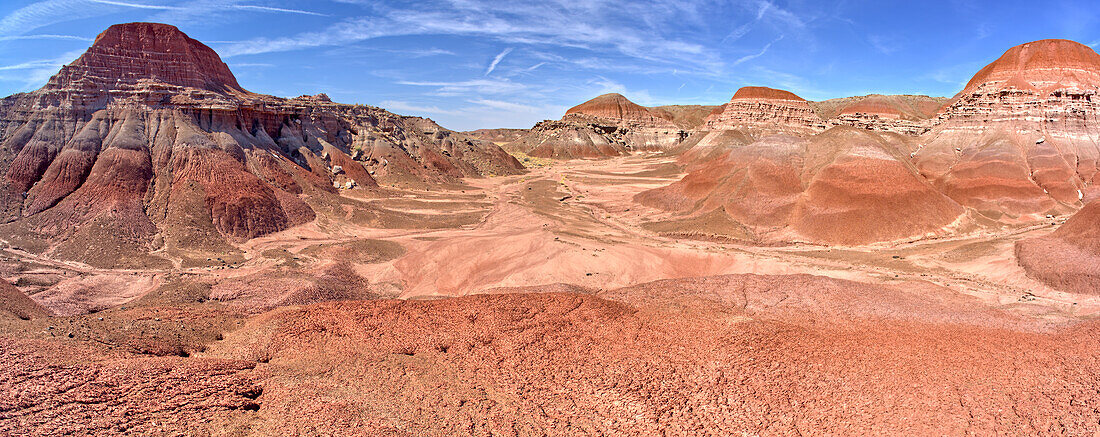 The valley floor of Red Forest at Petrified Forest National Park, Arizona, United States of America, North America