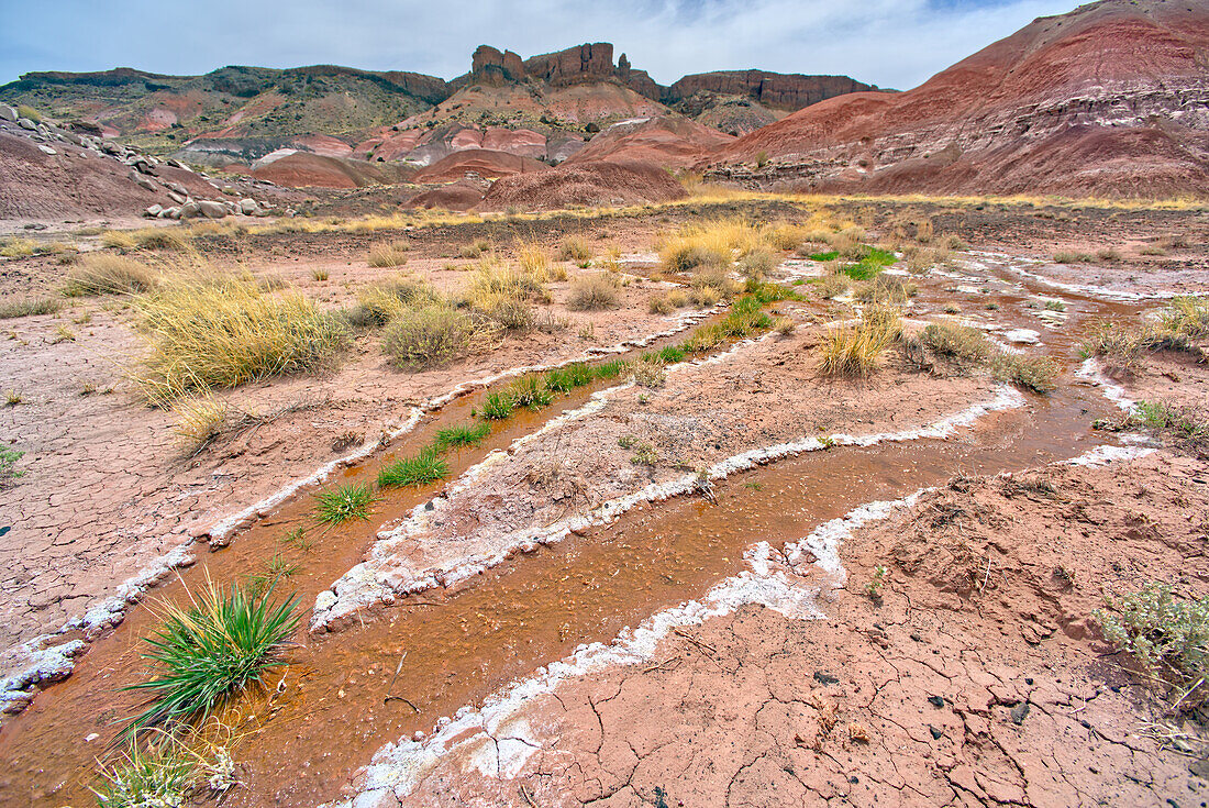 Eine fließende Quelle mit salzigem Salzwasser unterhalb von Pintado Point, Petrified Forest National Park, Arizona, Vereinigte Staaten von Amerika, Nordamerika