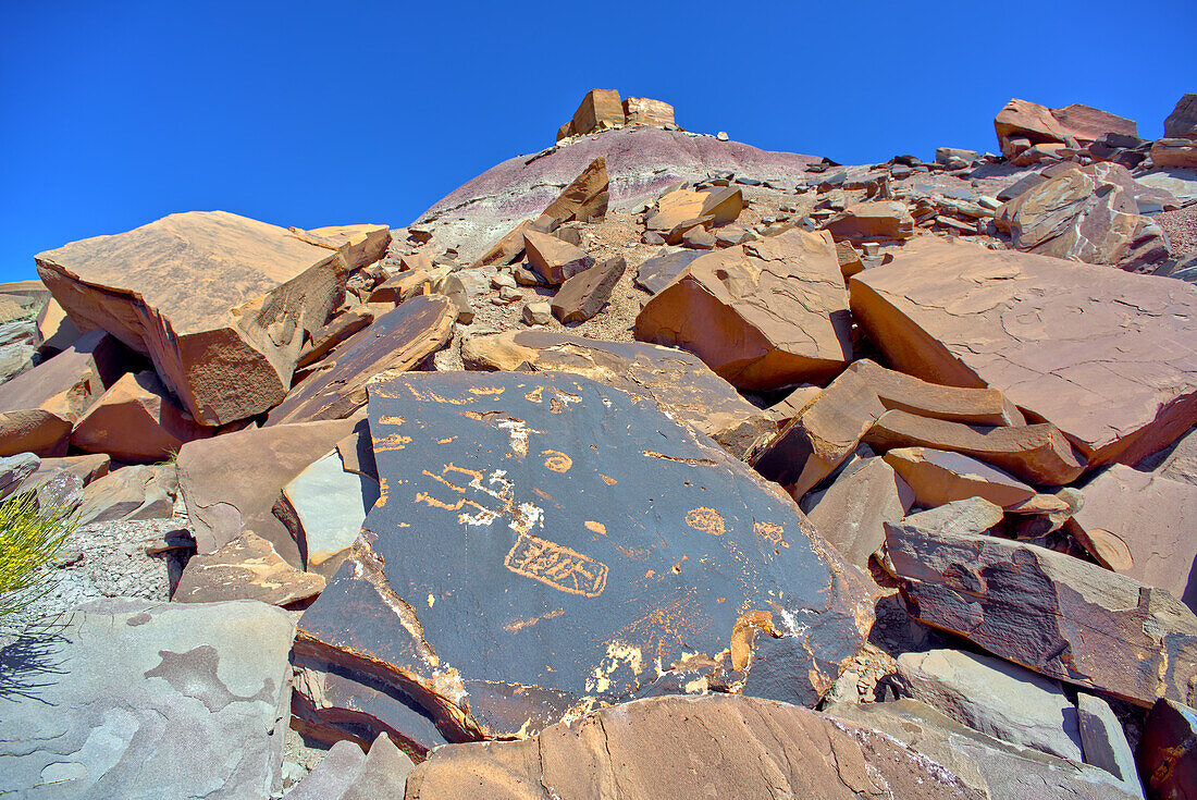 Alte indianische Petroglyphen auf einem Felsblock in der Nähe von Martha's Butte im Petrified Forest National Park, Arizona, Vereinigte Staaten von Amerika, Nordamerika