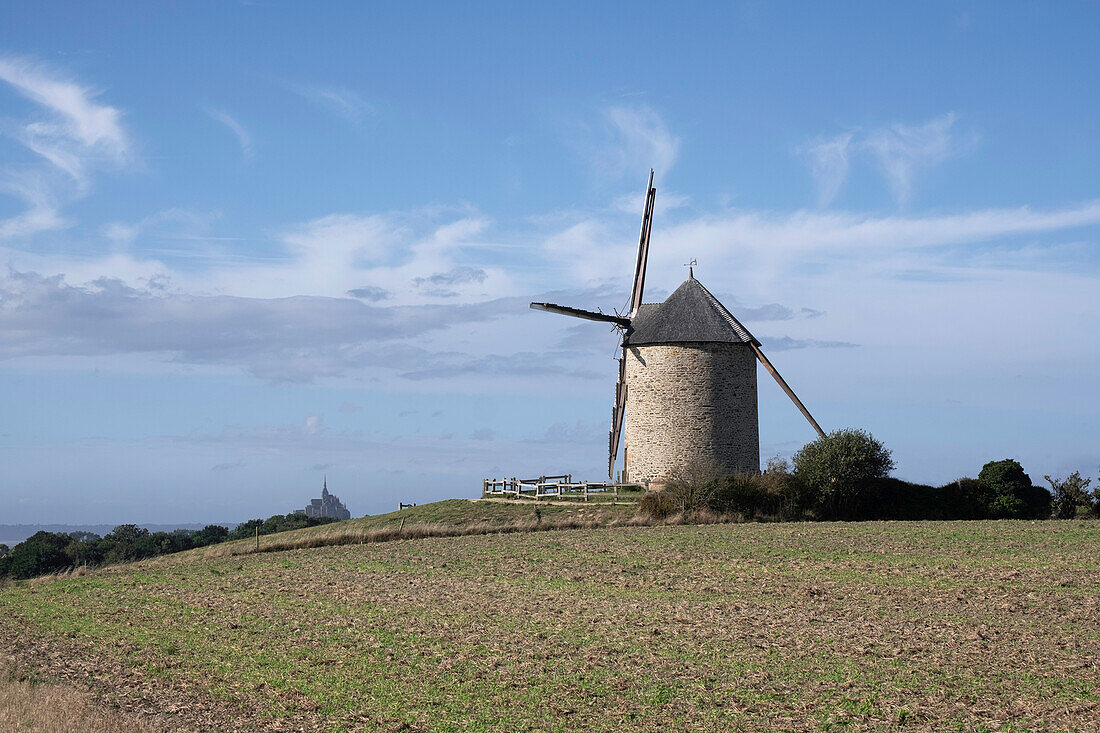 Windmühle auf einer Hügelspitze mit dem Mont Saint Michel im Hintergrund, Normandie, Frankreich, Europa
