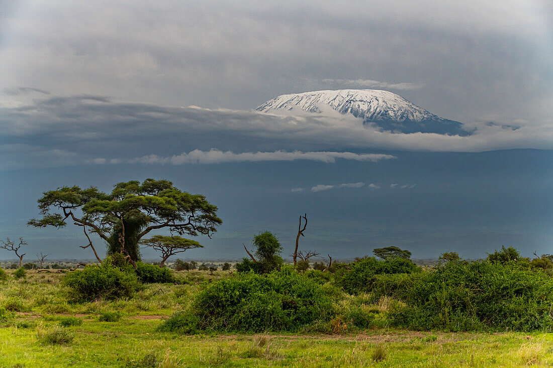 Mount Kilimanjaro, Amboseli National Park, Kenya, East Africa, Africa