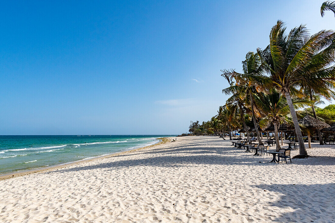 Weißer Sand am Diani Beach, Kenia, Indischer Ozean, Ostafrika, Afrika
