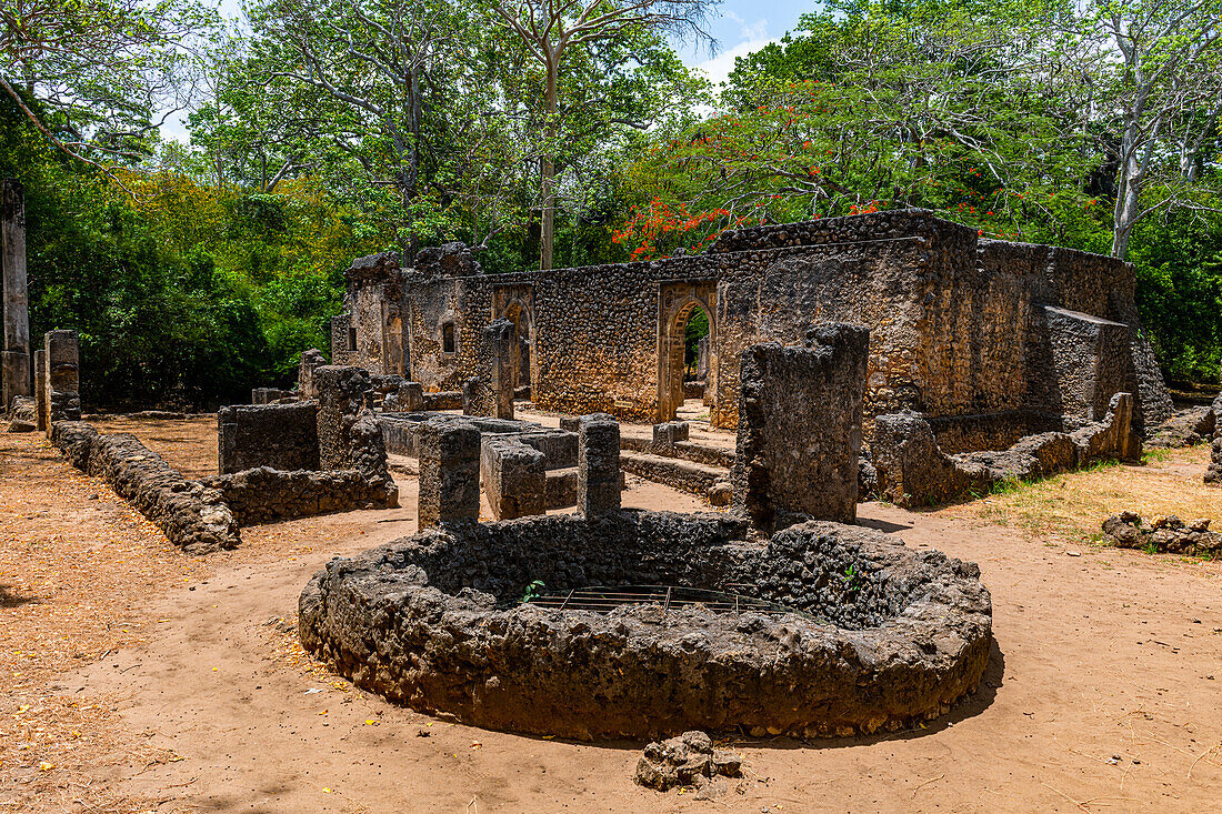 Ruinen der mittelalterlichen Suaheli-Küstensiedlungen von Gedi, Kilifi, Kenia, Ostafrika, Afrika