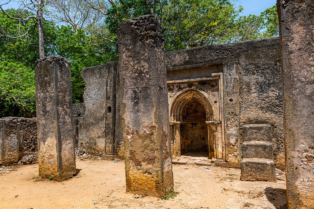 Ruinen der mittelalterlichen Suaheli-Küstensiedlungen von Gedi, Kilifi, Kenia, Ostafrika, Afrika