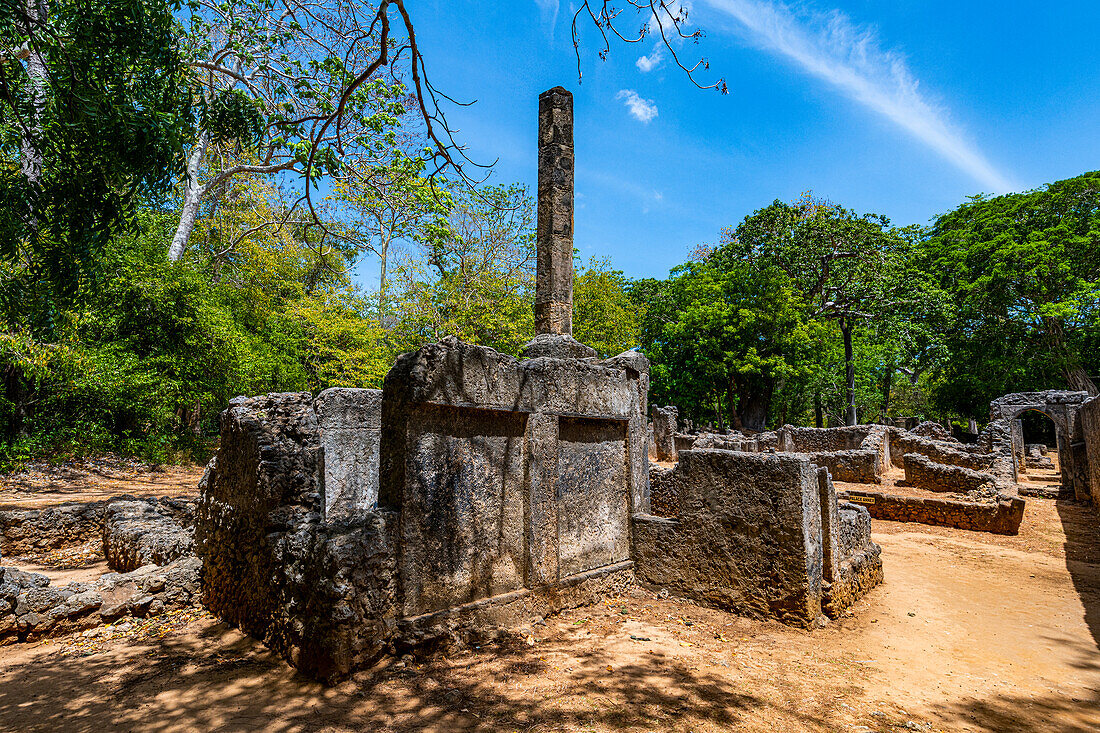 Ruinen der mittelalterlichen Suaheli-Küstensiedlungen von Gedi, Kilifi, Kenia, Ostafrika, Afrika