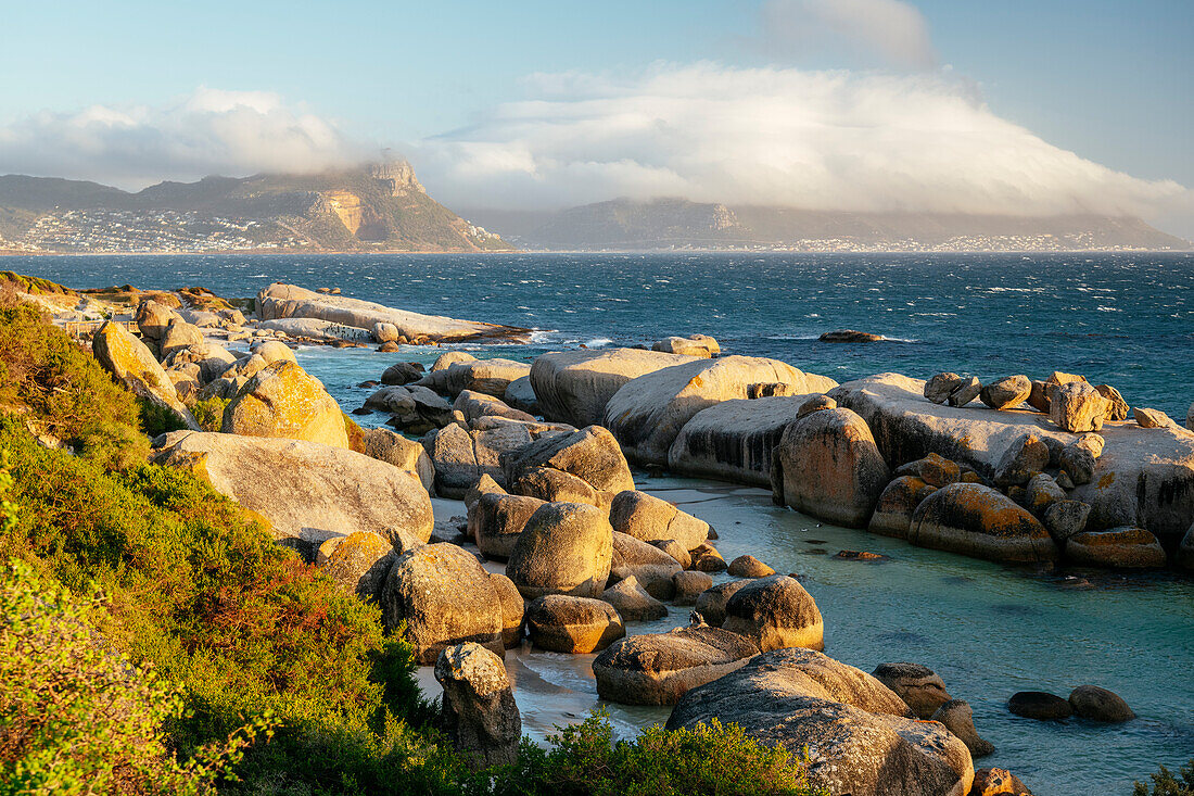 Boulders Beach, Cape Town, Western Cape, South Africa, Africa