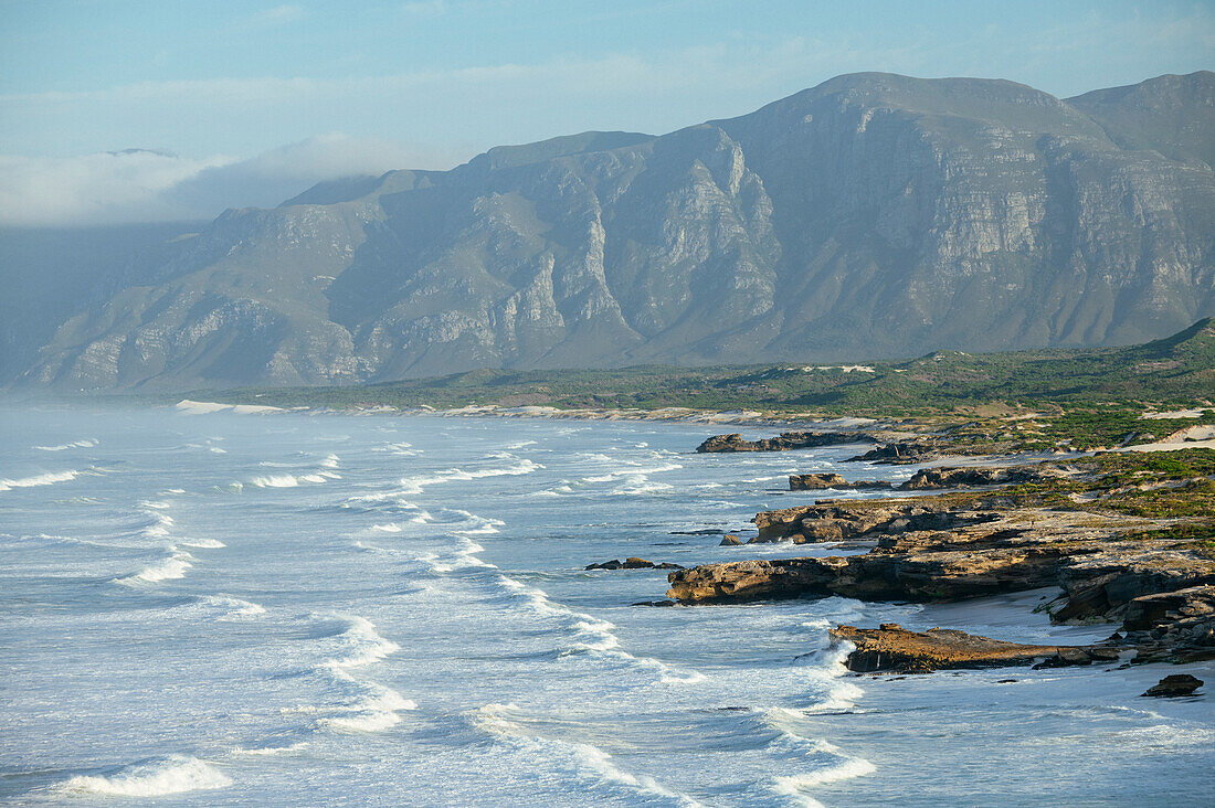 Cape Nature Walker Bay, Western Cape, South Africa, Africa